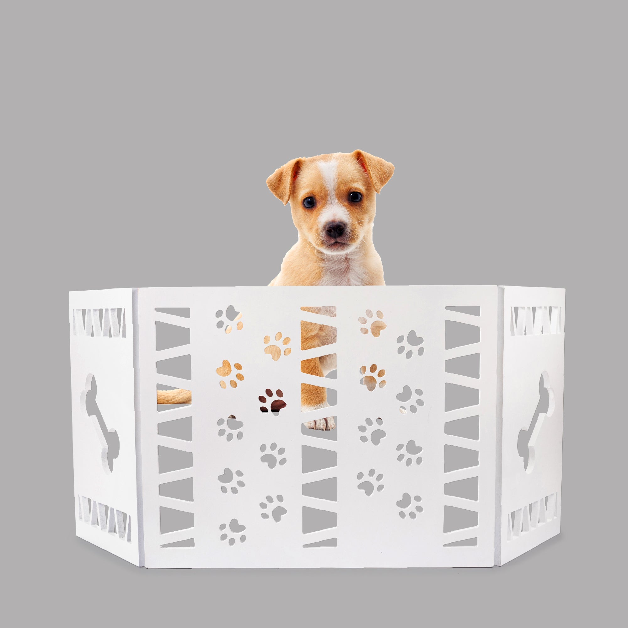 Pet Gate White Paw Decor